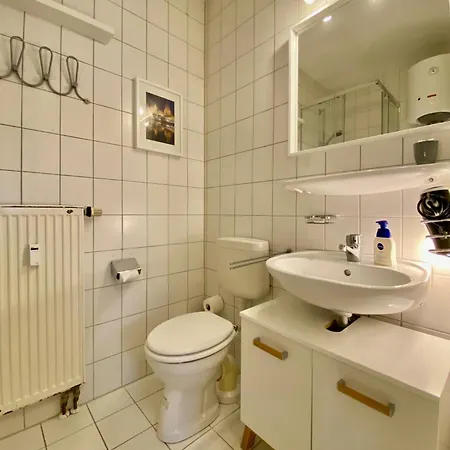 Remise Mit Kostenlosem Parkplatz Direkt Vor Der Tuer Apartment Erfurt