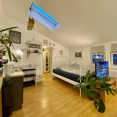 Remise Mit Kostenlosem Parkplatz Direkt Vor Der Tür Erfurt